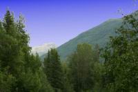 IMG_4507.jpg