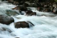 IMG_5437.JPG