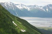 IMG_5662.JPG