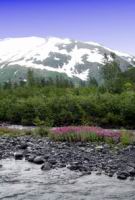 IMG_5793.JPG
